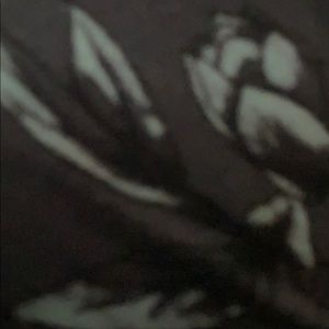 Meet your Posher, Bella